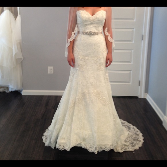 Watters Fabiene stunning Wedding Dress - Picture 1 of 4